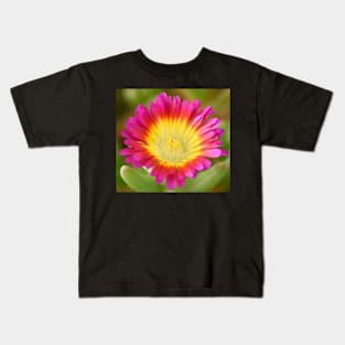 Delosperma cooperi  Hot Pink Wonder  &#39;Wowdry1&#39;  Wheels of Wonder Series Kids T-Shirt